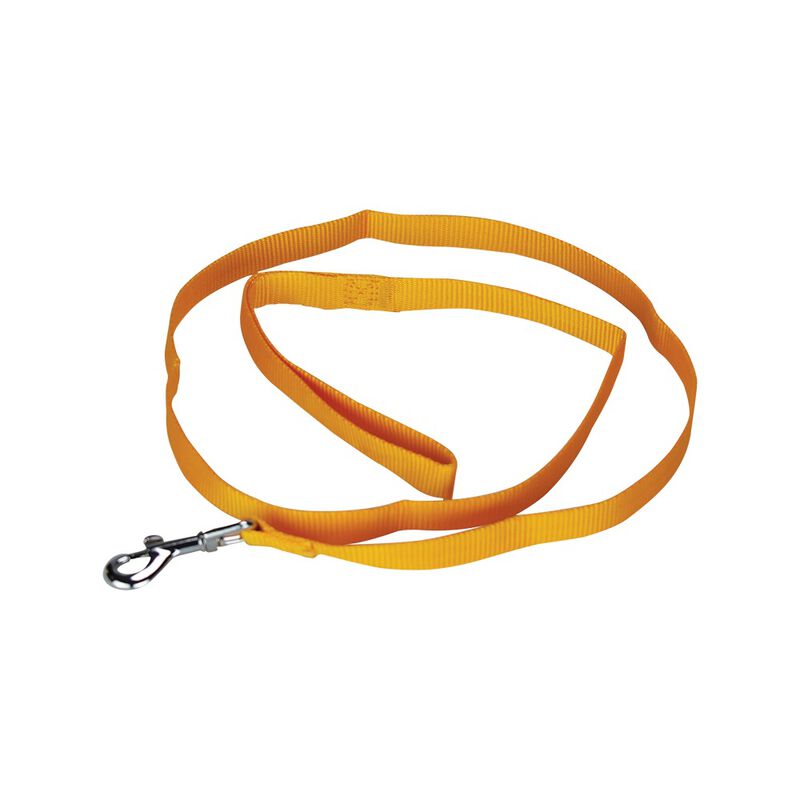 Fancy Pets Correa de Nylon para Perro Tama&ntilde;o Ch... image number null