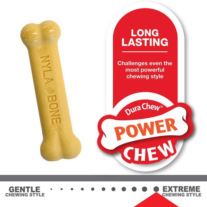 Kit De Inicio Teething Puppy Chew Nylabone X-sm... image number null
