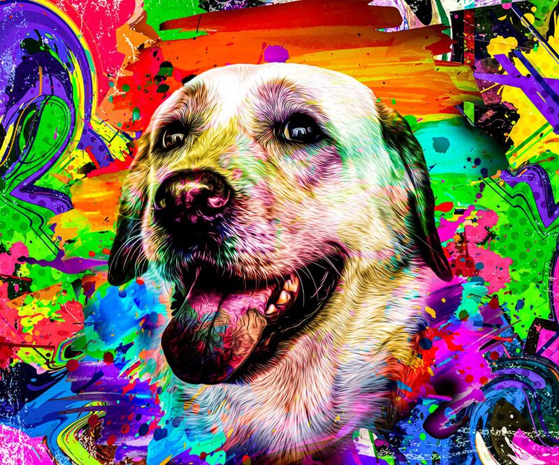 Tinte Para Pelo De Perro Welyeme 150 ml Rosa Pe... image number null