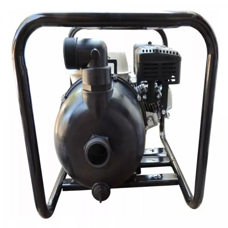 Motobomba Para Qu&iacute;micos Shiraiwa Shcp20 2x2 image number null