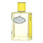 Perfume Prada Infusion D'ylang Edp 100 Ml