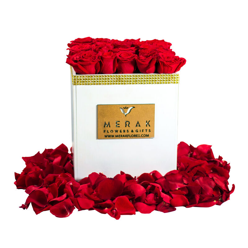 Caja Merak image number null