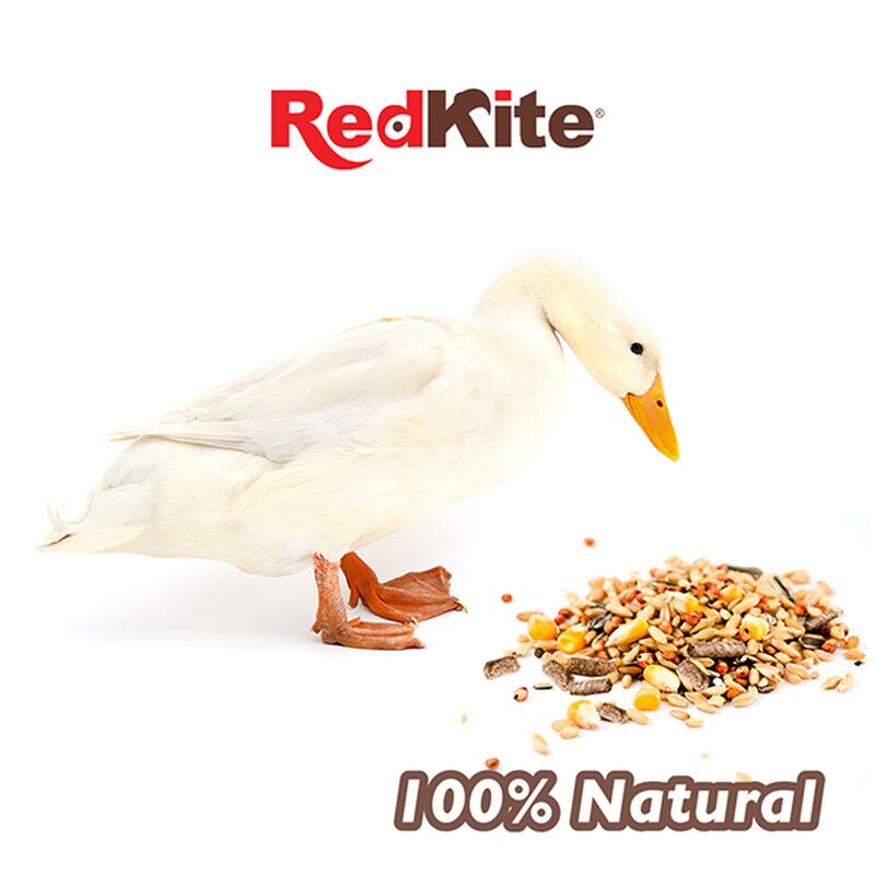 Redkite Mezcla De Semillas Para Patos 1 Kg image number null