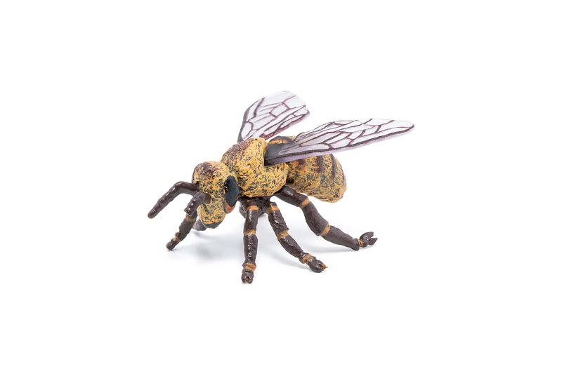 Figura De Papo Wild Animal Kingdom Bee 50256, C... image number null