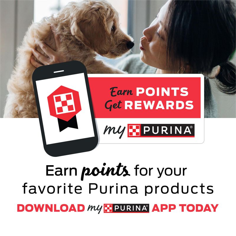 Gums Naturales Purina Friskies Para Gatos Con S... image number null