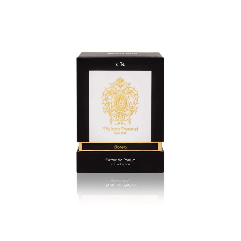 Perfume Tiziana Terenzi Borea Edp 100 Ml Para H... image number null