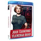 Flamingo Road Bdr [blu-ray]