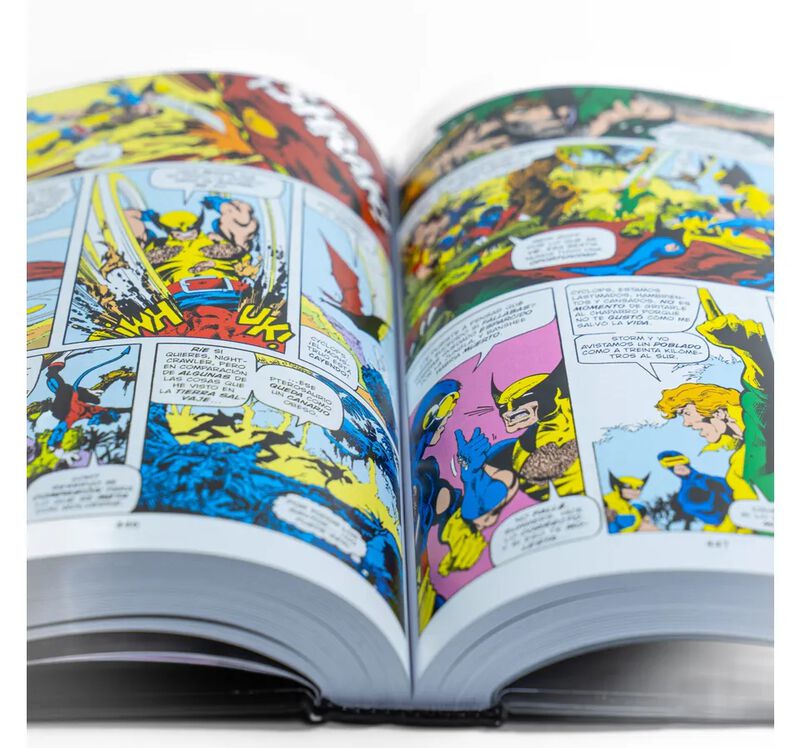 Uncanny X-Men Vol.01 (Marvel Omnibus) image number null