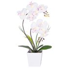 L&aacute;mpara Con Forma De Orqu&iacute;dea Homeseasons Homeseaons, Arreglo Con Iluminaci&oacute;n Led