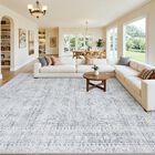 Alfombra Luxturiy 274 Cm X 305 Cm Lavable Gris