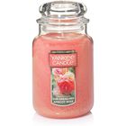 Vela Yankee Candle Albaricoque Y Rosa Al Sol