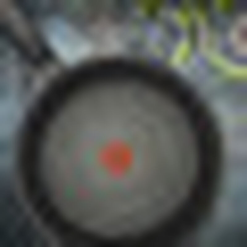 Sartén Hard Titanium 20 cm T- fal image number null