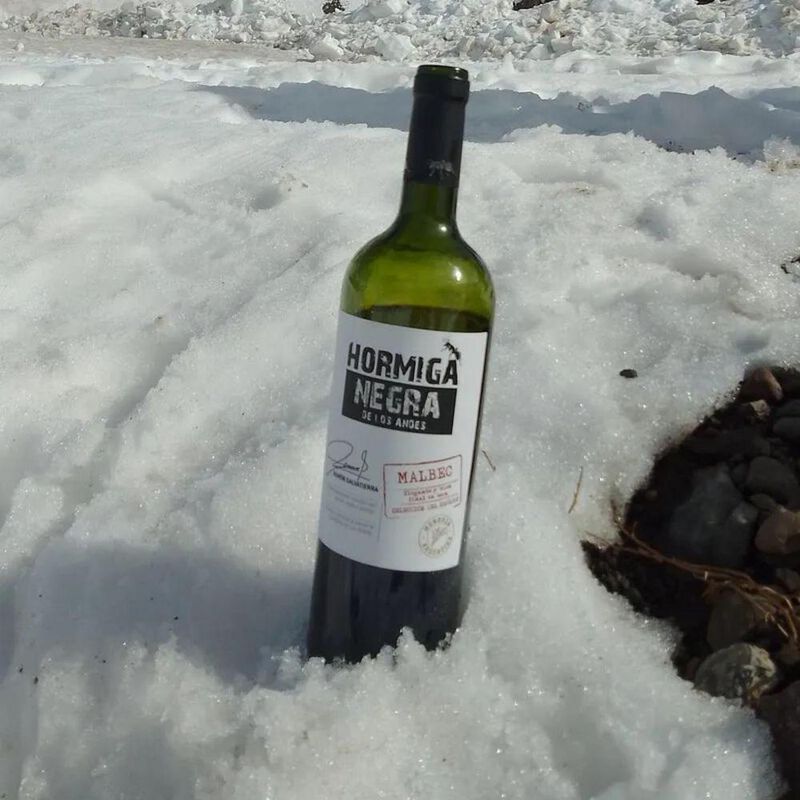 Vino Tinto Bodega Baudron Negra Malbec 750ml image number null