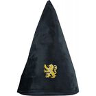 Gorro de Mago Estudiante de la Casa Gryffindor Hogwarts Harry Potter