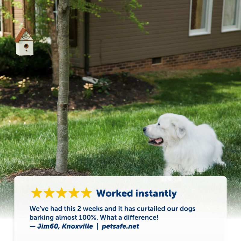 Dispositivo De Control De Ladridos Petsafe Outd... image number null