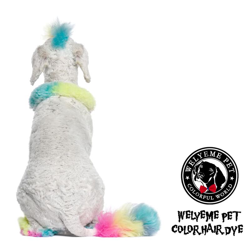 Tinte Para Pelo De Perro Welyeme 150 ml Rosa Pe... image number null