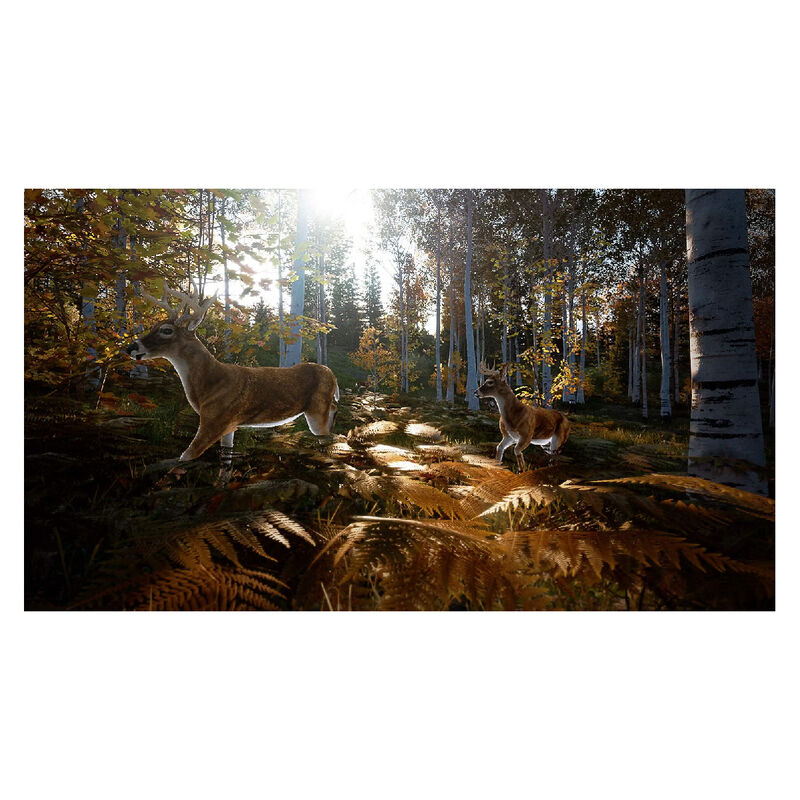 Juego Hunting Simulator 2 Nintendo Switch image number null