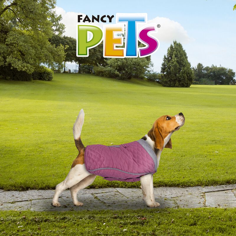 Fancy Pets Chaleco Tammy Para Perro Tamaño Extr... image number null