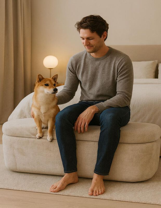 Ba&uacute;l Div&aacute;n de Almacenamiento Abel  Beige,  Pie ... image number null