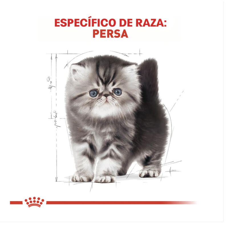 Royal Canin Persian Kitten 1.36 Kg Original Sel... image number null