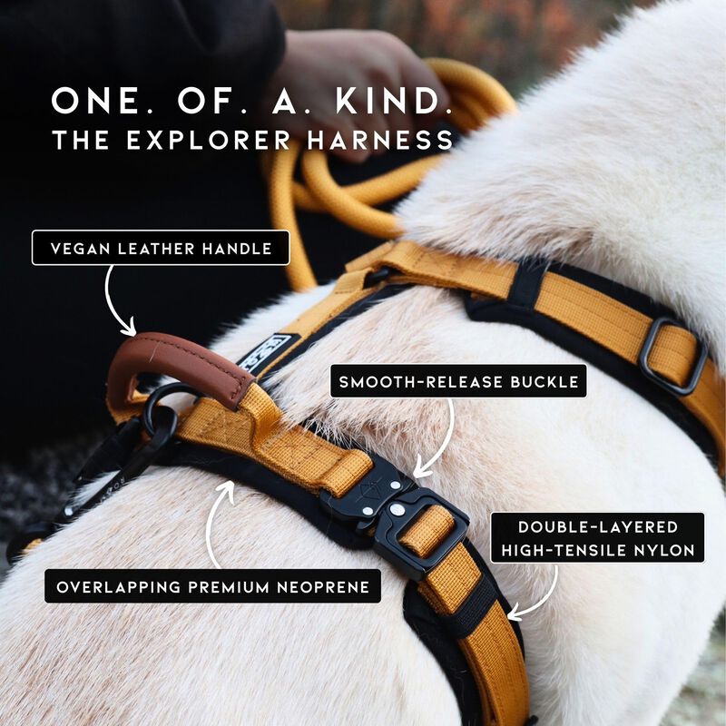 Arn&eacute;s Para Perro Made To Roam Explorer Talla 4 ... image number null