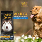 Perfect Sense Alimento para Perro Adulto de Raza Mediana y Grande de 8 Kg