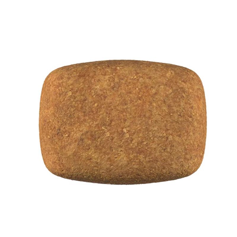 Royal Canin Hydrolyzed Protein Moderate Calorie... image number null