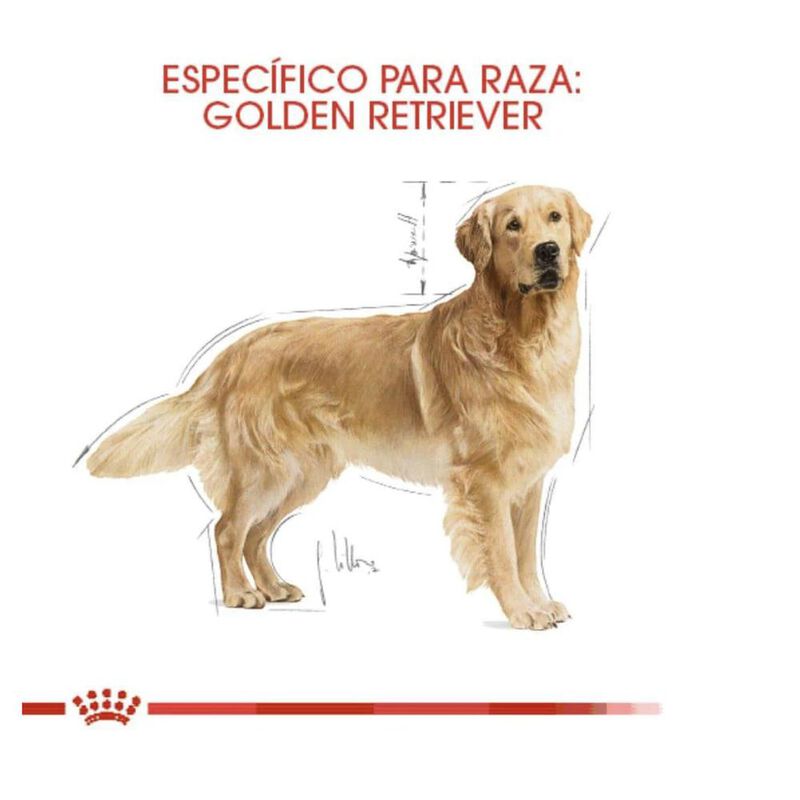 Royal Canin Bhn Golden Retriever Adult 13.6 Kg ... image number null