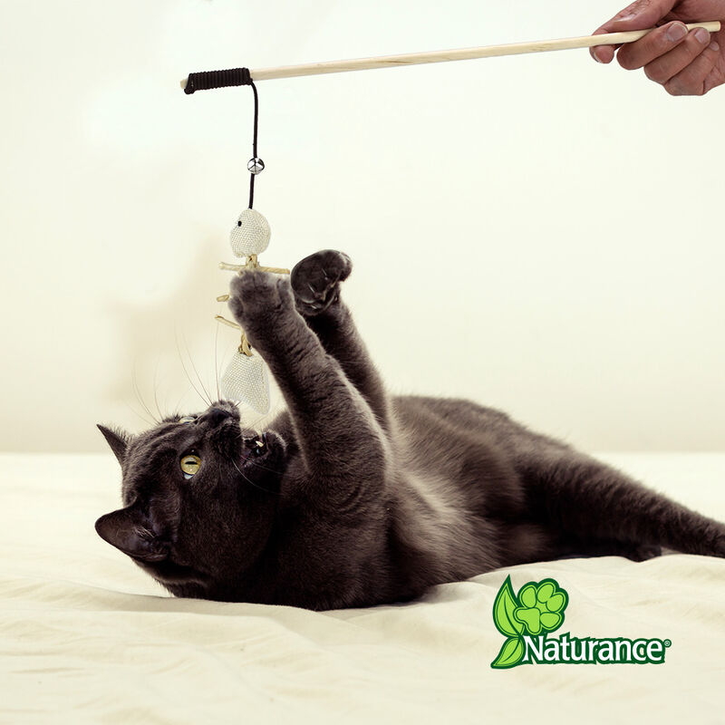 Naturance Ecoplay Juguete Ca&ntilde;a Con Pescado Para... image number null