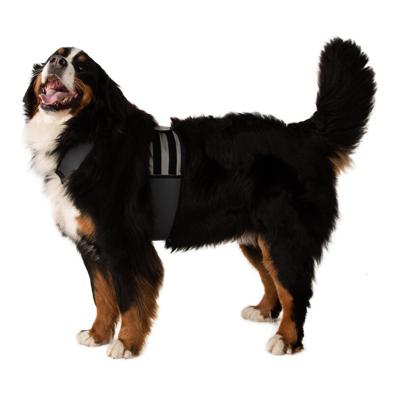 Chaleco Refrigerante Para Perro Coolerdog Xl 86... image number null