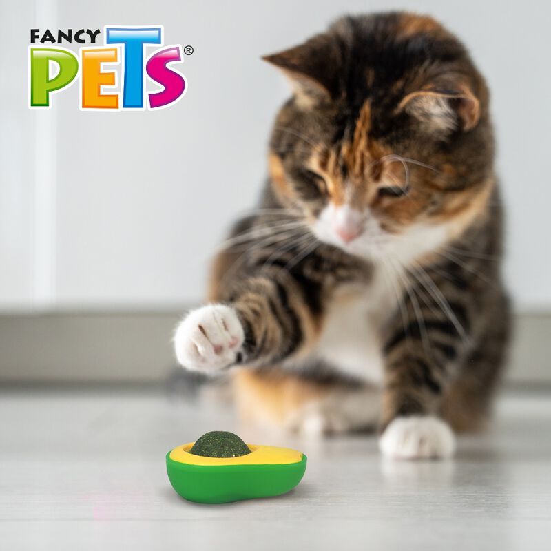 Fancy Pets Juguete para Gato Play Aguacate con ... image number null