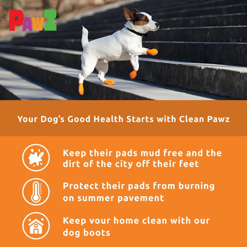 Botas Para Perros Protex Pawz Rubber All-weathe... image number null