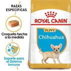 Royal Canin BHN Chihuahua Puppy 30, 2.5 LB 1.13 kg
