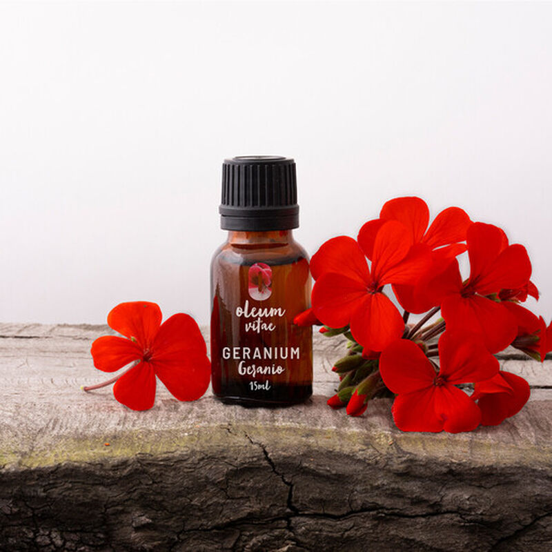 Aceite Esencial Puro Geranio 15 ml 100% Puro y ... image number null