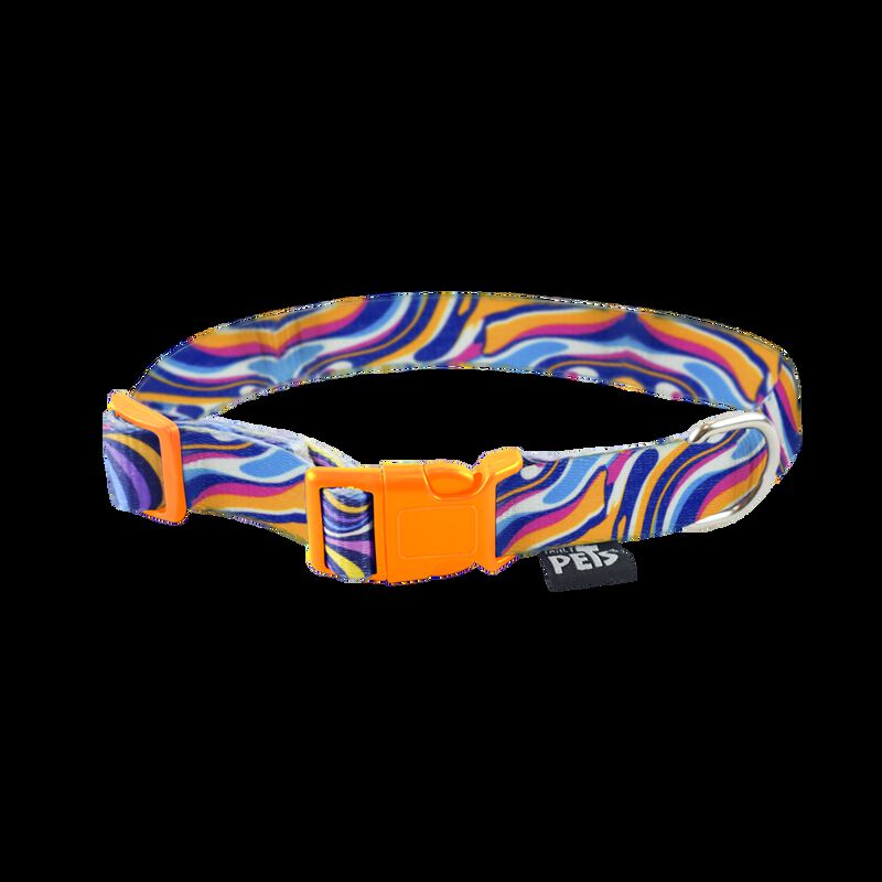 Fancy Pets Collar Galería Color Mix Tamaño Chic... image number null