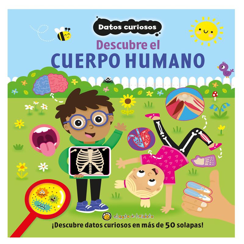 Descubre El Cuerpo Humano: Datos Curiosos, De G... image number null
