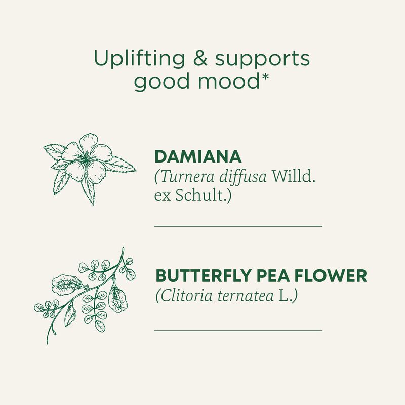 T&eacute; Traditional Medicinals Rosy Mood &ndash; 16 Bolsas image number null
