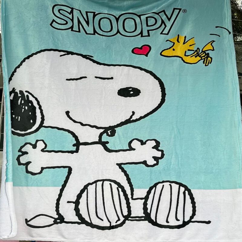 Exclusiva! Cobija Frazada Ultra Suave Snoopy Aq... image number null