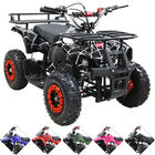 Cuatrimoto a Gasolina 49cc 2T Suspensi&oacute;n de Resorte Arranque Manual Freno de Disco Carga M&aacute;x 50 kg Hasta 40 km/h - Negro Spider