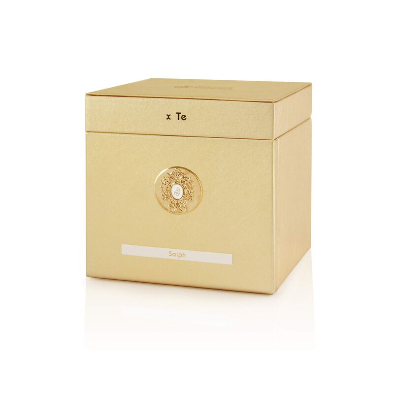 Perfume Tiziana Terenzi Saiph Edp 100 Ml Para H... image number null