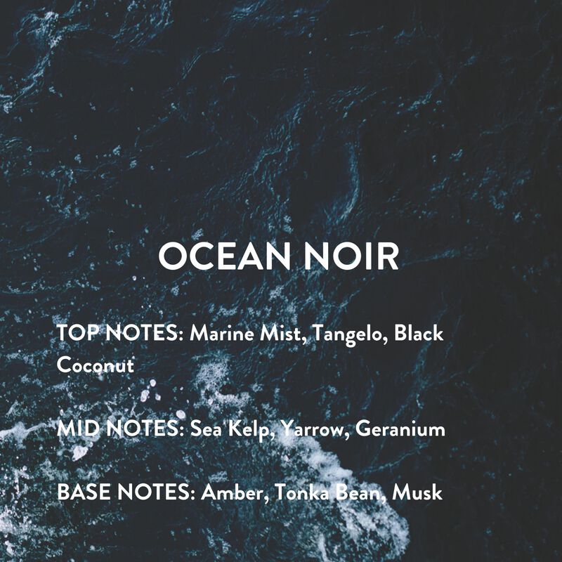 Perfume Michael Malul Ocean Noir Eau De Parfum ... image number null