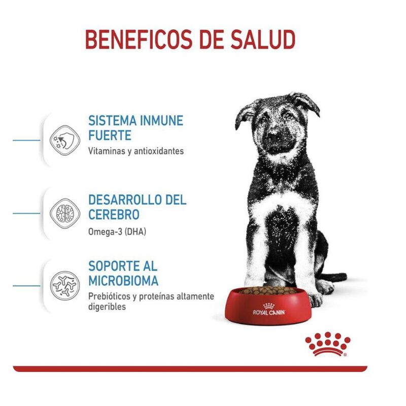 Royal Canin Large Puppy 13.6 Kg Original Sellad... image number null