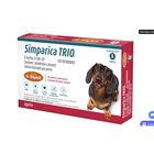 Simparica trio 12 mg 1 x 1 tab (caramelo) Caja con blister con 1 tabs Linea Antiparasitarios Laboratorio