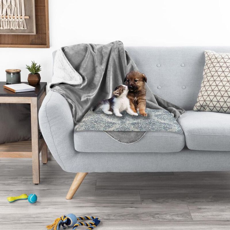 Funda Protectora Para Mascotas Polo One 6 Pack ... image number null