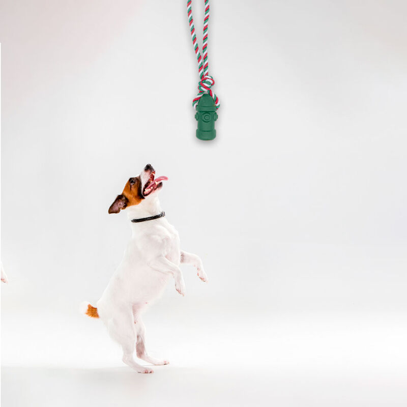 Juguetes para Mascotas Cordones Hidrantes Chill... image number null