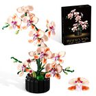 Set De Construcci&oacute;n Lodikisbay Flor De Orqu&iacute;dea 866 Piezas