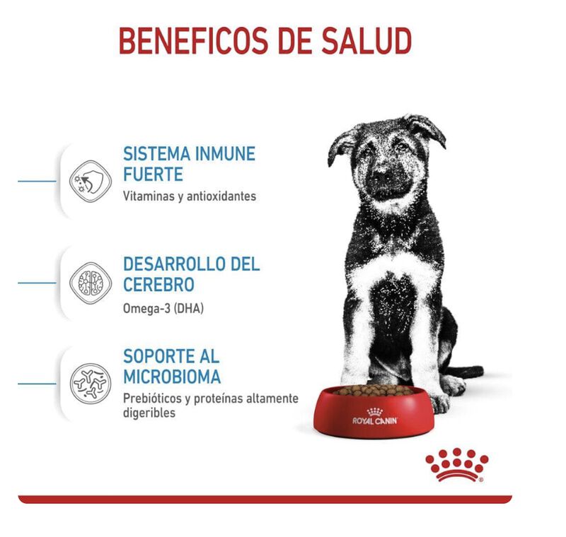 Royal Canin Large Puppy 13.6 Kg Original Sellad... image number null