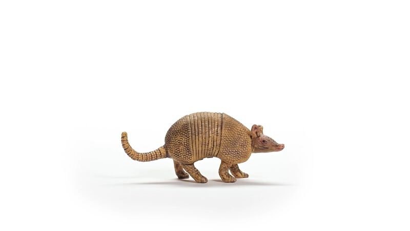 Figura De Juguete Schleich Wild Life Armadillo ... image number null