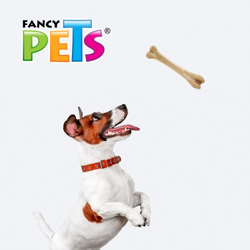 Fancy Pets Juguete Hueso para Morder con Fibra ... image number null