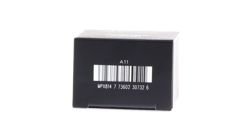 Mac Pro Longwear Paint Pot Payne 5 G image number null